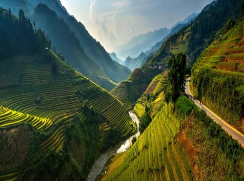 1024x768-1129783-trees-landscape-mountains-hill-nature-field-road-green-mist-river-valley-mountain-pass-rice-paddy-Vietnam-Alps-spring-terraces-plateau-ridge-Terrain-mountain-terrace-ag